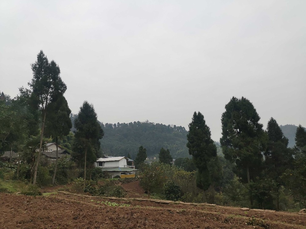 重点控制土壤有毒有害物质，18种土壤污染物分析法梳理